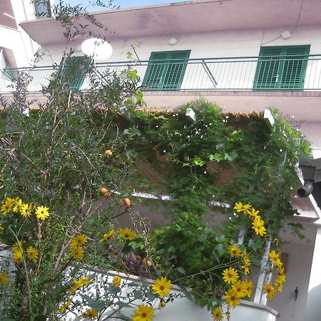 Apartman Sulic Podgora Exterior photo